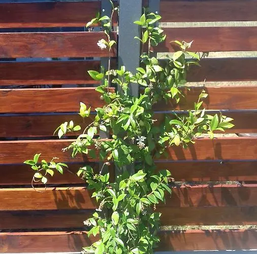 Holiday Majer * Umag