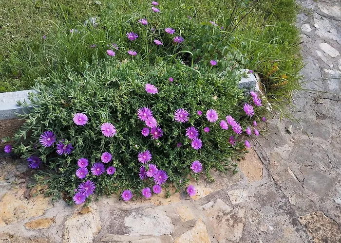 Majer Σπίτι διακοπών *